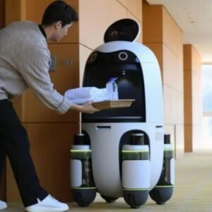 Welcome the humanoid robot