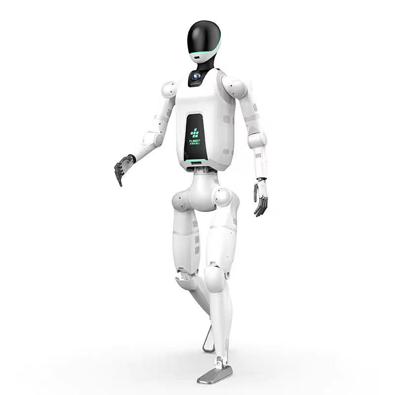 Tianlian Humanoid Robot Emotional Companion Robot Nanny Children Family Elderly Chat Entertainment AI Dialogue Work Housekeeping Robot